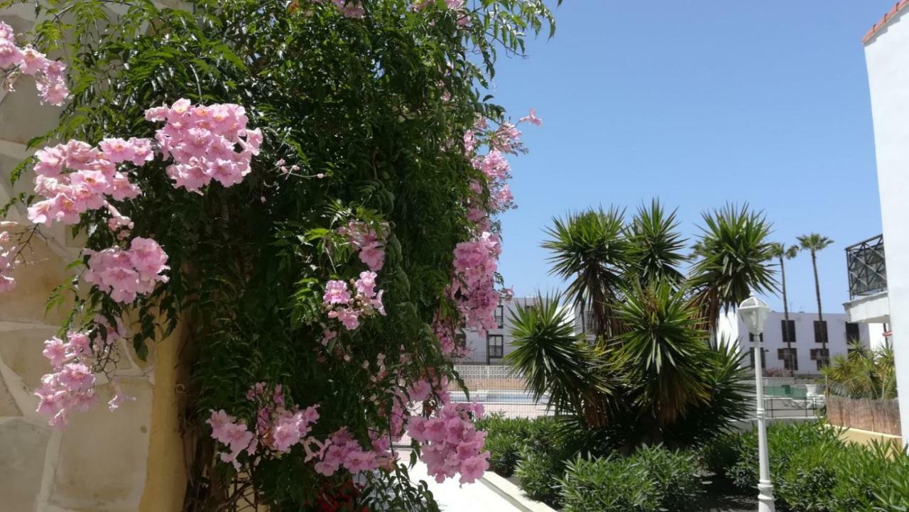 Tenerife Altamar Paradise Playa de las Américas Buitenkant foto